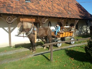 Obrzek 1. Kliknte pro zvten.